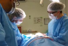 HSDS oferece atendimento odontológico para pacientes com necessidades especiais