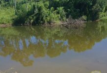 Morte por afogamento é registrada no interior de Caçador