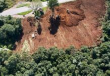 PMSC lança instrução reguladora para compensação ambiental em fiscalizações