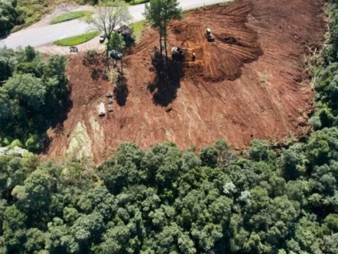 PMSC lança instrução reguladora para compensação ambiental em fiscalizações