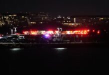 Avião e helicóptero colidem causando dezenas de mortes