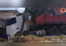 Carreta desgovernada desce a rua, atropela cachorro e bate em casa