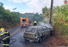 Carro bate em poste e pega fogo