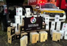 Cigarros e bebidas lideram número de apreensões nas rodovias de SC