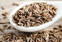 Conheça a especiaria antioxidante que ajuda a perder peso e cuida do coração