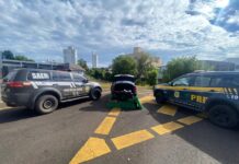 Ação conjunta intercepta carro com mais de 220 kg de drogas em Chapecó