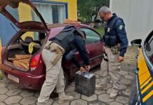 PRF retira mais de 100kg de maconha das ruas em ação na BR-282