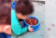 Bebê morre engasgado com ração de cachorro no litoral catarinense