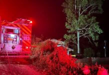 Incêndio destrói chiqueiro e mobiliza bombeiros