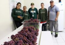 Frutas da estação são compartilhadas com a comunidade caçadorense