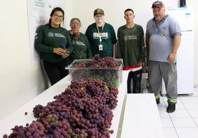 Frutas da estação são compartilhadas com a comunidade caçadorense