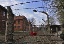 Cerimônia marca os 80 anos da libertação de Auschwitz