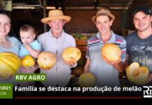 RBV Agro 236: Família se destaca no cultivo de melão no Meio-Oeste de SC