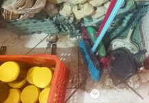 PM Ambiental vistoria aves em cativeiro e apreende produção de mel