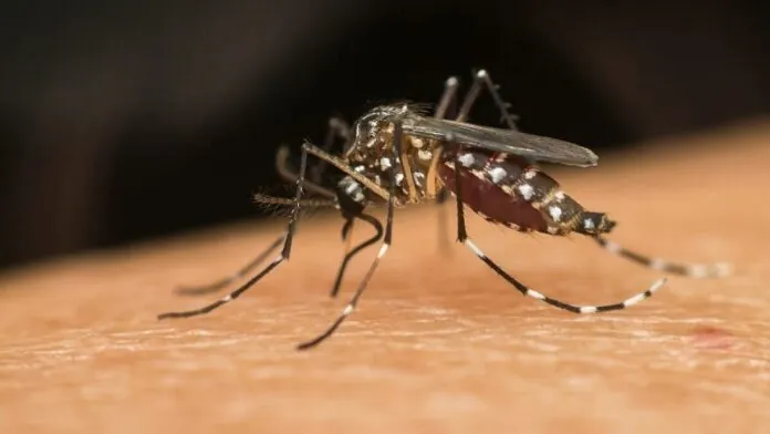 Brasil lança ações para se antecipar a período de alta da dengue