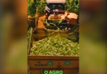 Deputado de SC lança música em homenagem ao agronegócio