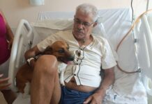 Santa Maria promove reencontro emocionante entre tutor e seu cão