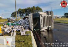Carreta carregada com vinhos tomba e espalha carga na pista