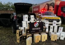 Perseguição da PMRv leva à apreensão de mais de 60 caixas de vinhos