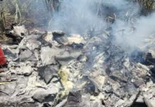 Avião de pequeno porte cai em canavial e mata casal