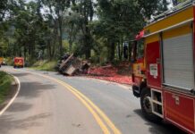 Caminhão carregado com maçã capota em Salto Veloso