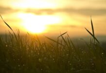 Oeste Catarinense deve registrar menos chuva em fevereiro e março