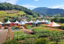 21ª edição do Plantão Técnico da Cootan começa na quarta-feira (05)