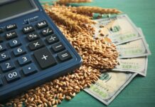 Governo lança Desenrola Rural para regularizar dívidas de agricultores familiares