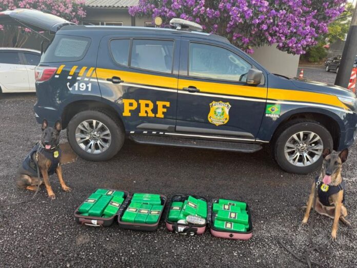 Cães farejadores da PRF encontram 27 kg de drogas em bagagem