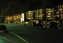 Mais de 63 toneladas de excesso de carga são apreendidas