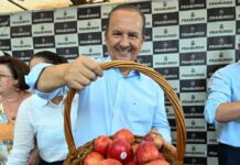 Governador de SC acompanha início da colheita da maçã em Fraiburgo