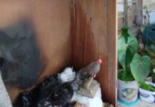 Incêndio em residência é controlado por populares