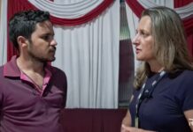 Ataque de vespas quase provoca tragédia familiar