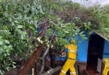 Mais de 50 famílias são afetadas por tempestade e vendaval em Monte Carlo