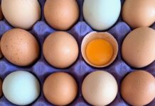Preços dos ovos sobem e atingem recordes históricos