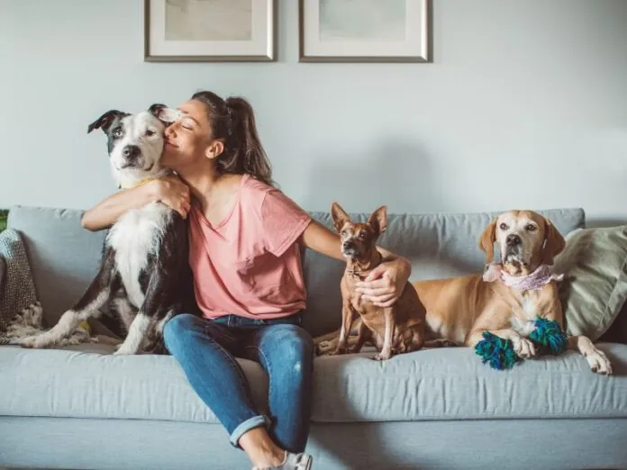 Brasil tem a 3ª maior população de animais de estimação do mundo