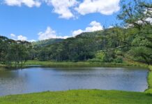 Previsão do tempo: quinta-feira terá tempo firme em SC