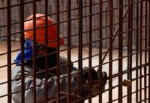 A cada seis trabalhadores contratados em SC, um é estrangeiro