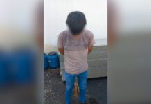 Foragido por roubo em Videira é preso pela PM em Rio das Antas