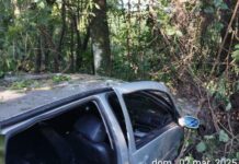 Mulher morre e dois ficam feridos em capotamento na BR-282