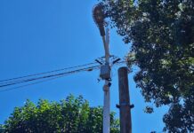 Investimentos em câmeras e iluminação reforçam a segurança em Tangará