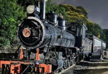 Trem das Etnias volta aos trilhos e inicia passeios turísticos em abril