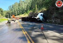 Caminhão com suínos bate em paredão de pedra e pega fogo em Tangará