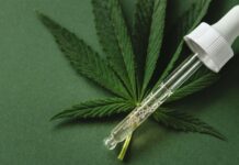 Paciente de SC ganha autorização para cultivar cannabis em casa