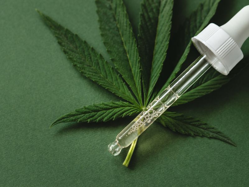 Paciente de SC ganha autorização para cultivar cannabis em casa