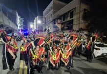 Videira brilha no Carnaval de Joaçaba 2025 com mais de 50 foliões