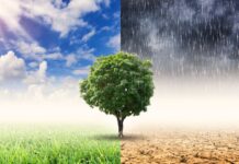 Outono será de calor e chuvas abaixo da média em SC