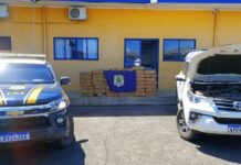 Polícia Rodoviária apreende mais de 1 tonelada de drogas na BR-282