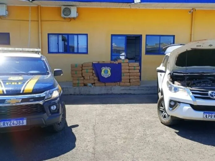 Polícia Rodoviária apreende mais de 1 tonelada de drogas na BR-282