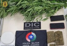 Polícia de Videira prende dois e apreende drogas e armas